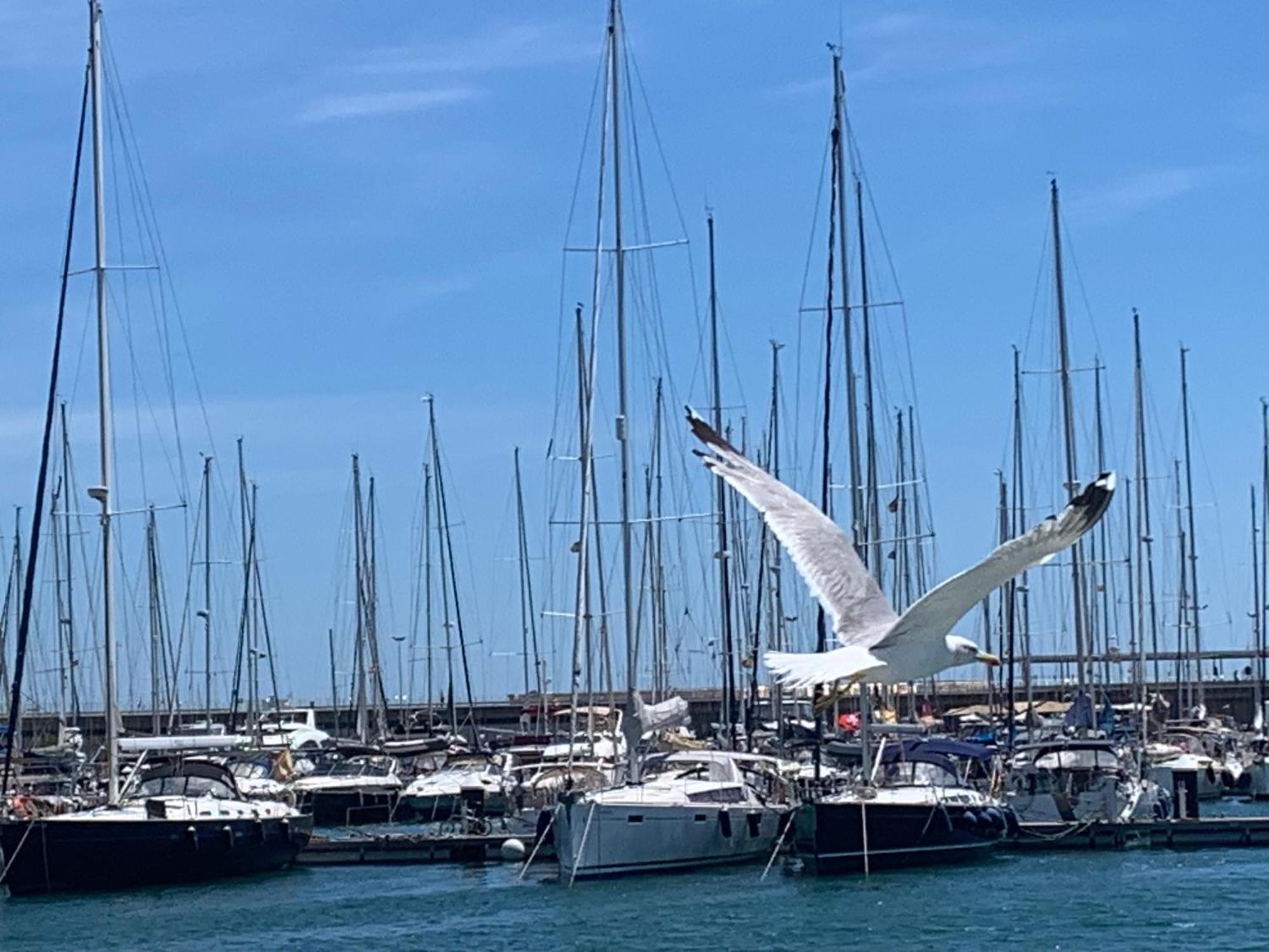 Master&Commander Hotel Valencia Eksteriør billede
